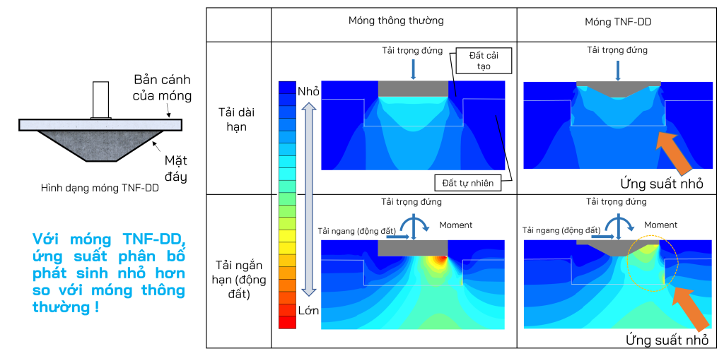 Phân bố ứng suất TNF-DD